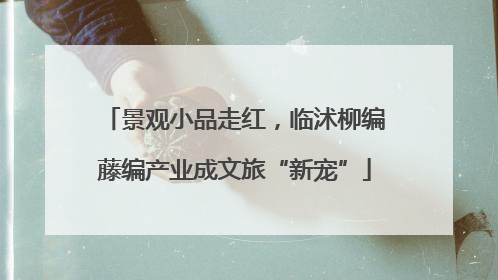 景观小品走红，临沭柳编藤编产业成文旅“新宠”