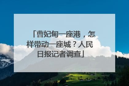 曹妃甸一座港，怎样带动一座城？人民日报记者调查