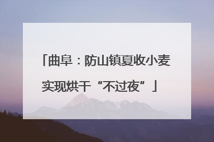 曲阜：防山镇夏收小麦实现烘干“不过夜”