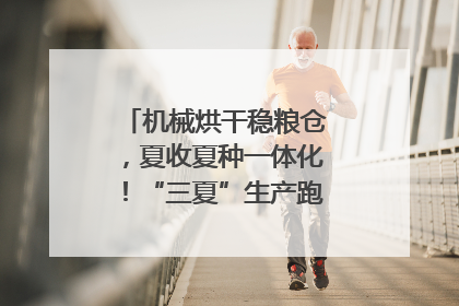 机械烘干稳粮仓，夏收夏种一体化！“三夏”生产跑出加速度｜麦报
