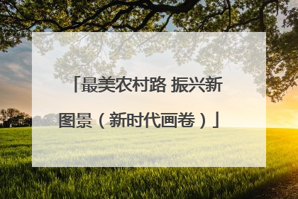 最美农村路 振兴新图景（新时代画卷）