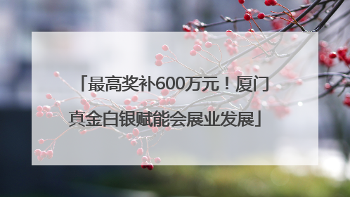 最高奖补600万元！厦门真金白银赋能会展业发展
