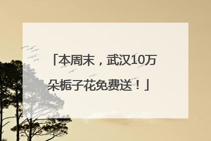 本周末，武汉10万朵栀子花免费送！