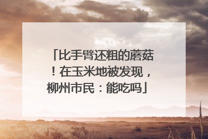 比手臂还粗的蘑菇！在玉米地被发现，柳州市民：能吃吗