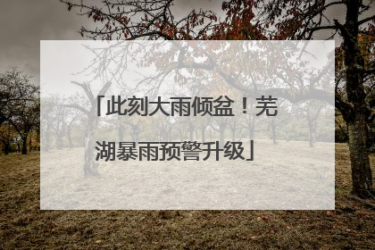 此刻大雨倾盆！芜湖暴雨预警升级