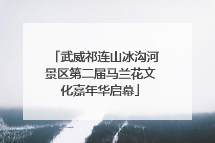 武威祁连山冰沟河景区第二届马兰花文化嘉年华启幕