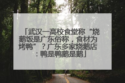 武汉一高校食堂称“烧鹅饭是广东俗称，食材为烤鸭”？广东多家烧鹅店：鸭是鸭鹅是鹅