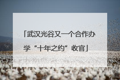 武汉光谷又一个合作办学“十年之约”收官