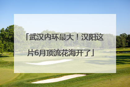 武汉内环最大！汉阳这片6月顶流花海开了