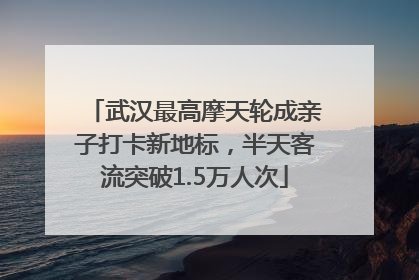 武汉最高摩天轮成亲子打卡新地标，半天客流突破1.5万人次