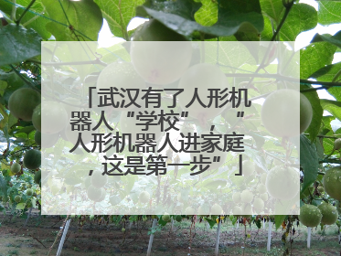 武汉有了人形机器人“学校”，“人形机器人进家庭，这是第一步”