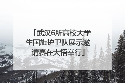 武汉6所高校大学生国旗护卫队展示邀请赛在大悟举行