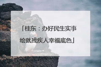 桂东：办好民生实事 绘就残疾人幸福底色