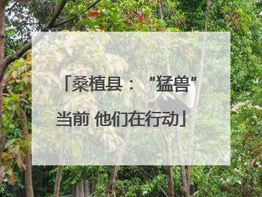 桑植县：“猛兽”当前 他们在行动