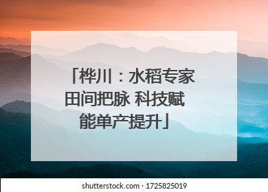 桦川：水稻专家田间把脉 科技赋能单产提升