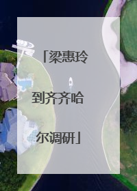 梁惠玲到齐齐哈尔调研