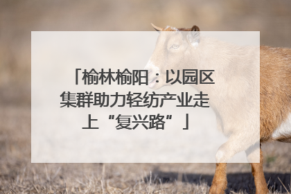 榆林榆阳：以园区集群助力轻纺产业走上“复兴路”