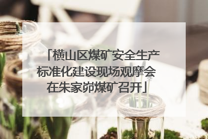 横山区煤矿安全生产标准化建设现场观摩会在朱家峁煤矿召开