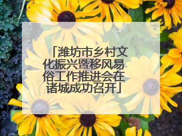 潍坊市乡村文化振兴暨移风易俗工作推进会在诸城成功召开