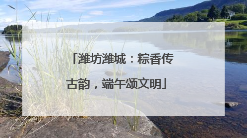 潍坊潍城：粽香传古韵，端午颂文明