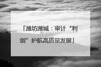 潍坊潍城：审计“利剑”护航高质量发展