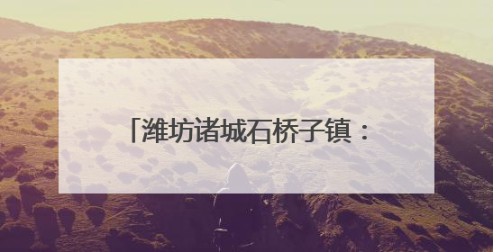 潍坊诸城石桥子镇：绣花功夫织密平安网 百姓日子越过越踏实