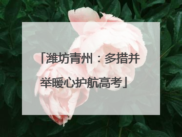 潍坊青州：多措并举暖心护航高考