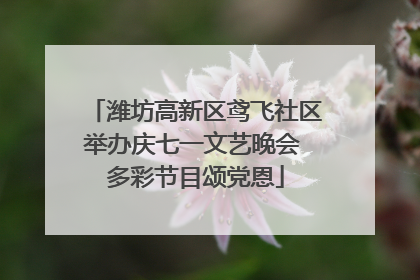 潍坊高新区鸢飞社区举办庆七一文艺晚会 多彩节目颂党恩