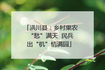 潢川县：乡村果农“愁”满天  民兵出“机”情满园