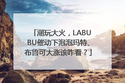 潮玩大火，LABUBU催动下泡泡玛特、布鲁可大涨该咋看？
