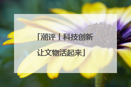 潮评丨科技创新让文物活起来