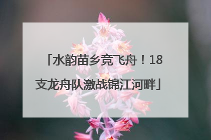 水韵苗乡竞飞舟！18支龙舟队激战锦江河畔
