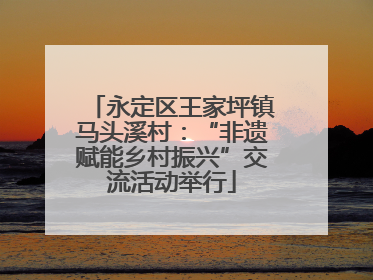 永定区王家坪镇马头溪村：“非遗赋能乡村振兴”交流活动举行
