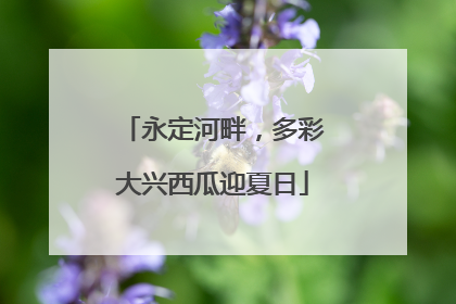 永定河畔，多彩大兴西瓜迎夏日