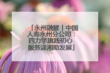 永州融耀丨中国人寿永州分公司：四力擎旗践初心 服务潇湘助发展