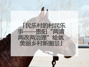 民乐村的村民乐事——贵阳“两清两改两治理”绘就美丽乡村新图景