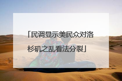 民调显示美民众对洛杉矶之乱看法分裂