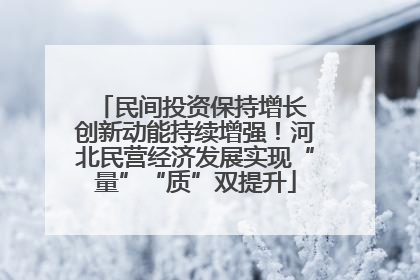 民间投资保持增长 创新动能持续增强！河北民营经济发展实现“量”“质”双提升