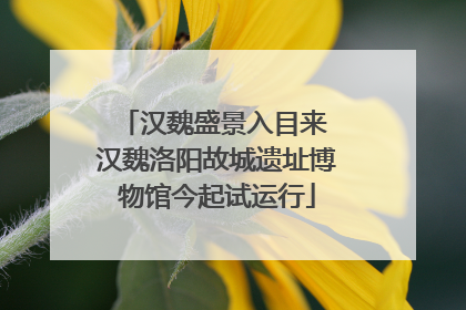 汉魏盛景入目来 汉魏洛阳故城遗址博物馆今起试运行