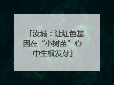 汝城：让红色基因在“小树苗”心中生根发芽