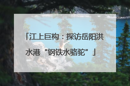 江上巨构：探访岳阳洪水港“钢铁水骆驼”