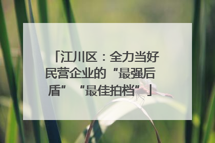 江川区：全力当好民营企业的“最强后盾”“最佳拍档”