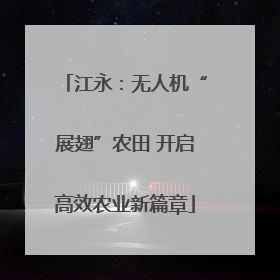 江永：无人机“展翅”农田 开启高效农业新篇章