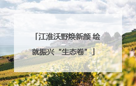 江淮沃野焕新颜 绘就振兴“生态卷”