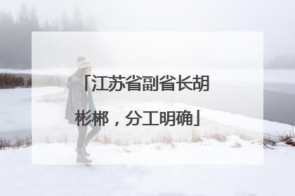 江苏省副省长胡彬郴，分工明确