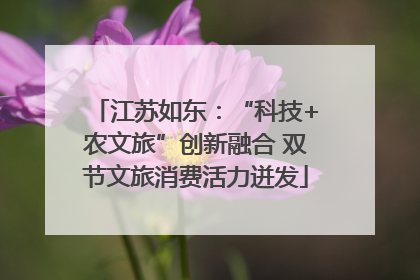 江苏如东：“科技+农文旅”创新融合 双节文旅消费活力迸发