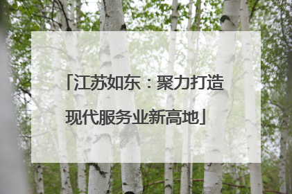 江苏如东：聚力打造现代服务业新高地