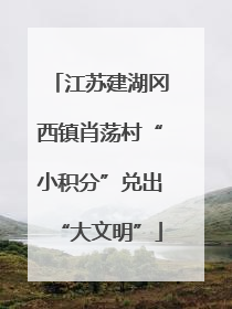 江苏建湖冈西镇肖荡村“小积分”兑出“大文明”