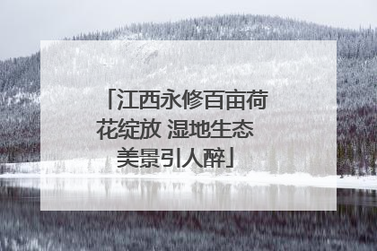 江西永修百亩荷花绽放 湿地生态美景引人醉