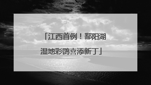 江西首例！鄱阳湖湿地彩鹮喜添新丁